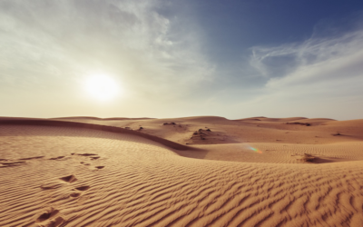 Immersion dans le désert marocain – Oct. 2025
